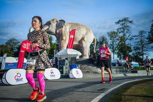 BIB: 
                            <button type="button" onclick="openModal(26541745)" class="btn btn-primary btn-sm float-right btn-popup" data-toggle="modal" data-target=".modal-high-quality">
                        <i class="fas fa-shopping-cart"></i> Add to Cart
                    </button>
                                            <button type="button" onclick="isThisMe(26541745, true)" class="btn btn-success btn-sm float-right btn-popup btn-isme hidden" data-toggle="tooltip" data-placement="bottom" title="นี่คือรูปของคุณใช่ไหม คลิกที่นี่เพื่อเอาเข้าอัลบั้ม">
                        <i class="fas fa-plus"></i> Add to album
                    </button>
                    <button type="button" onclick="isThisMe(26541745, false)" class="btn btn-warning btn-sm float-right btn-popup btn-isnotme hidden">
                        <i class="fas fa-ban"></i> Remove from album
                    </button>